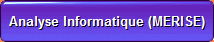 Analyse Informatique (MERISE)